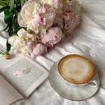 ava_reads_spice - @ava_reads_spice - Instagram