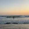 ava rowe - @avarowe - TikTok