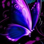 Ava Sills - Facebook