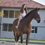 Ava Sloane - @avasloane.eq - Instagram