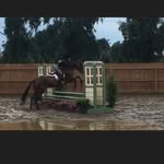 ava spencer - @amsequestrian_ - Instagram
