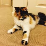 Ava_Stein_ - @ava_stein_9 - Instagram