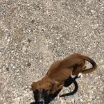 Melissa Grace - @ava_tray_mccorkle_stokes - Instagram