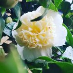 Ava Varner - @kiwi.fruity - Instagram