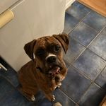 AVA WALL - @avawwall - Instagram