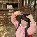 Ava Wang - @avawang5288 - Instagram
