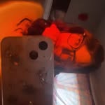 @avawarner07 - Instagram