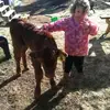 Ava Warren - @avawarren14 - TikTok