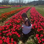 ava webb - @ava_durbin_2005 - Instagram