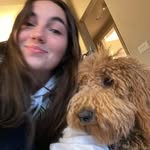 ava webster - @avawebsterr - Instagram