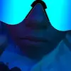 Ava Weeks - @avaweeks4 - TikTok
