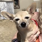 Ava Marie Weitzel - @ava_marie_weitzel - Instagram