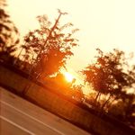 Ava Werner - @werner_photographs - Instagram