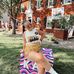 Ava Westbrock - Facebook