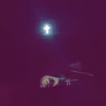 Ava Westbrook - @_.iiam.avaaa - Instagram