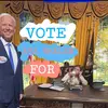 VOTE AVA WHALEN 🗳️ - @avawhalzieforprezzi - TikTok