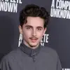 Ava chalamet 123 - @avawheatley1 - TikTok