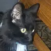 @Avawheatley07 - @tiktoker36698259864 - TikTok