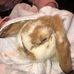 Ava Elizabeth Whittaker - Facebook