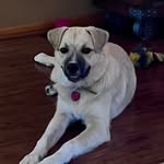 Ava Lynn Willard - @alw722 - Instagram