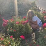 Ava Willis - @ava.willis1 - Instagram