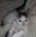 Ava Willoughby - Facebook