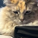 Ava willoughby - @avaw_5065 - Instagram