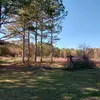 Aves - @ava.wills98 - TikTok