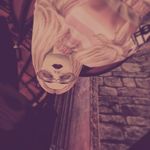 Ava Winston - @ava_winston_6 - Instagram