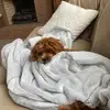 winston_and_ava - @winston_and_ava - TikTok