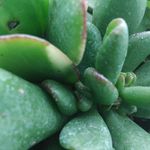 Ava Louis - @_ava_winter_louis_ - Instagram