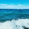 avawisniewski - @avawisniewski22 - TikTok