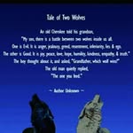 ava__wolf - @ava__wolf - Instagram
