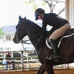 Ava Wolfe - @avaw_eq - Instagram