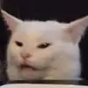 avawolfe678 - @avawolfe678 - TikTok