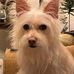 Mary Ava Womack Bagwell - Facebook