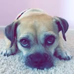 Ava Woodruff - @ava.woodruff - Instagram