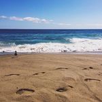 Ava Woodward  Burns - @avawoodwardburns - Instagram