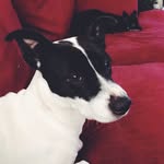 Ava Lynn Wooten - @avaa.wootenn - Instagram