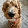 ava.wrayy - @ava.wrayy - TikTok