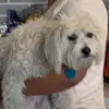 Ava Zech - @avaavanator - TikTok