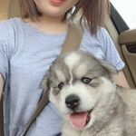 Ava Zheng - @zw_avaa - Instagram