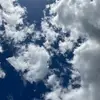 Ava_Zhou - @isla.arrowsmith - TikTok