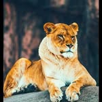 Bharat Makwana - @avadh.makwana - Instagram