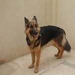 Avani Dave - @avani.dave.102 - Instagram