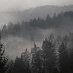 Aavash Ghimire - @aavash.ghimiregg - Instagram