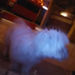 avdo avdic - @avdo614 - Instagram