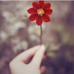 Aveen Ahmad - @aveenahmad2 - Instagram