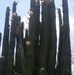Avelino Ramirez - Facebook