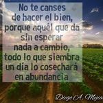 Avelino Ramirez - @avelino.ramirez.792 - Instagram